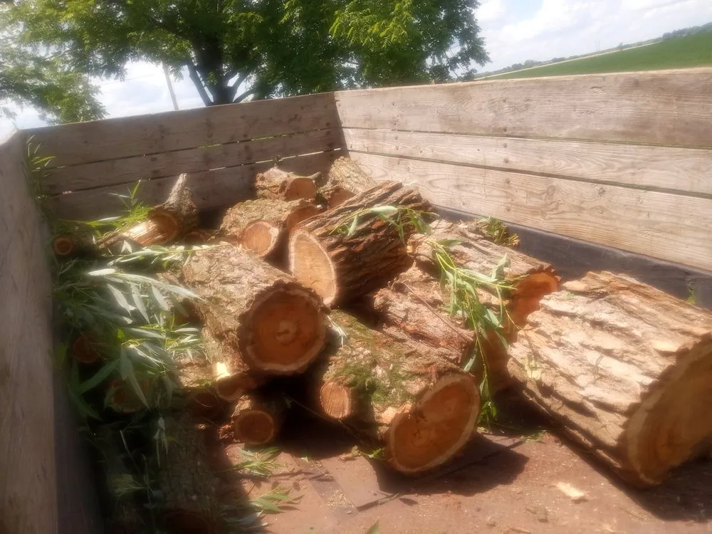 Affordable lawn care service in Lake Mills, WI - Jose Tree Service