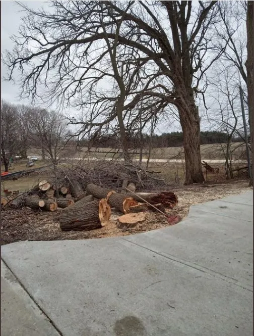 Professional landscaping services experts serving Lake Mills, WI - Jose Tree Service