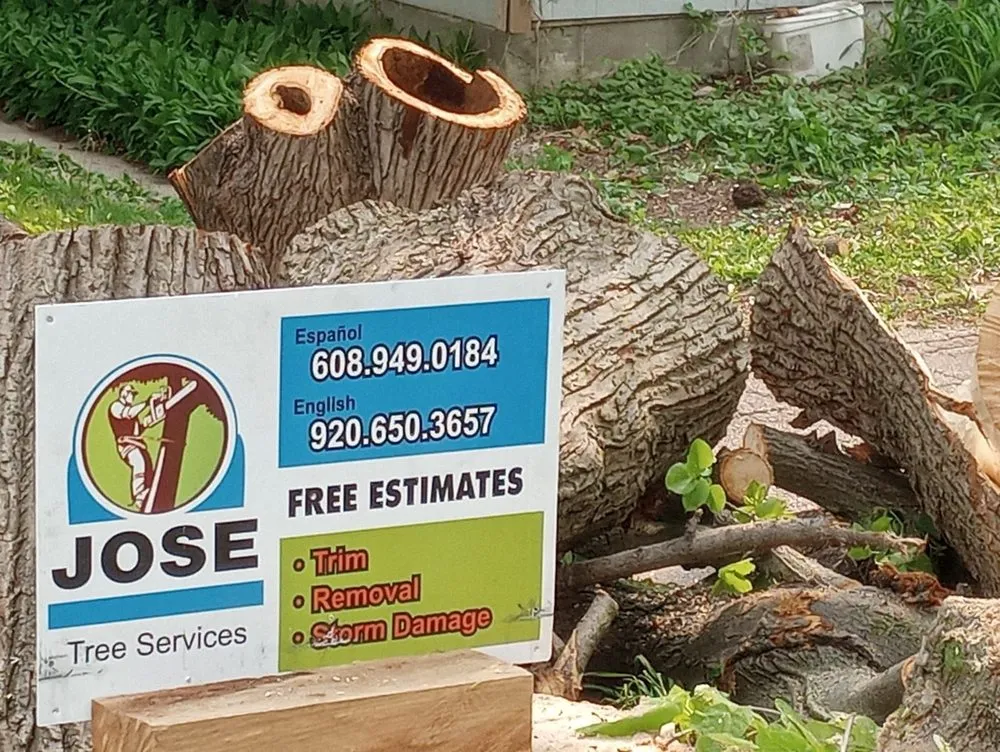 Professional outdoor landscaping in Lake Mills, WI by Jose Tree Service