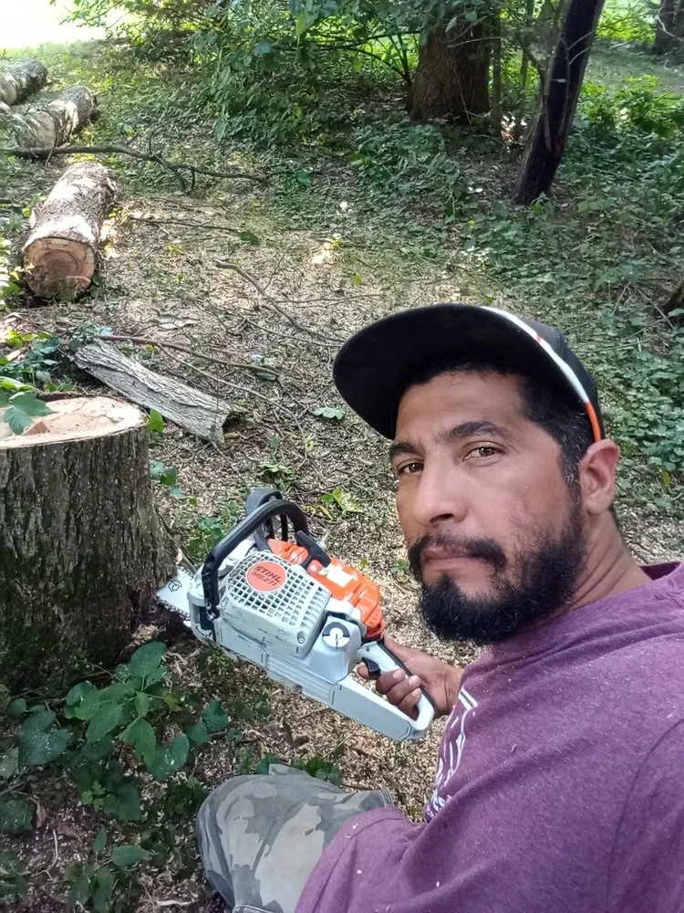 Affordable yard maintenance in Lake Mills, WI by Jose Tree Service