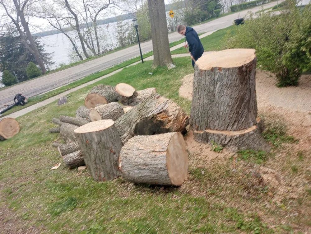 Top-rated landscape design for residential properties across Lake Mills, WI - Jose Tree Service