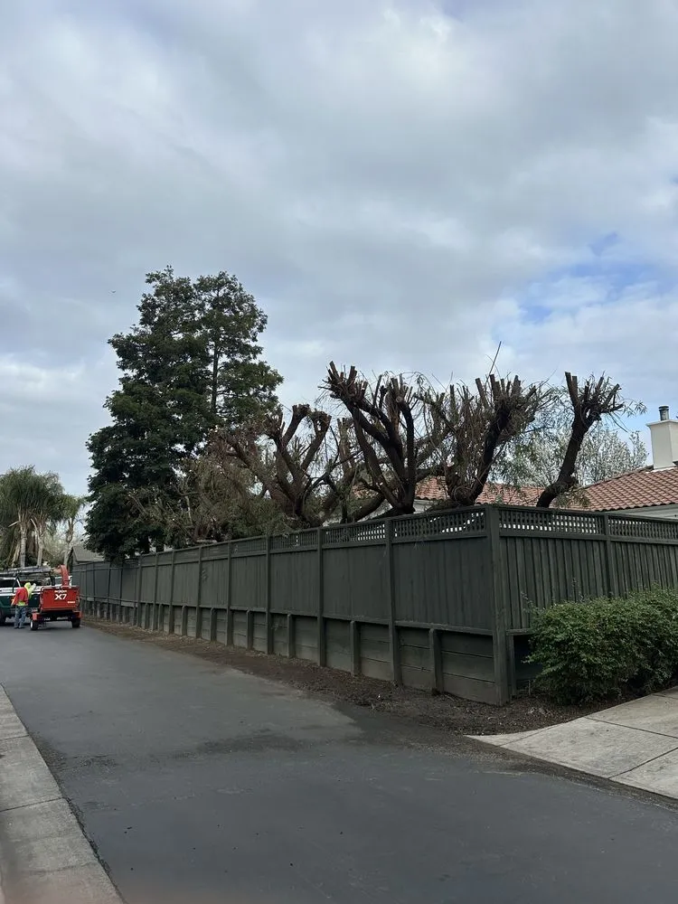 Affordable landscape installation in Tracy, CA by Jose V Landscape