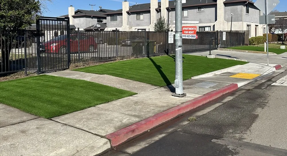 Affordable yard cleanup service experts serving Tracy, CA - Jose V Landscape