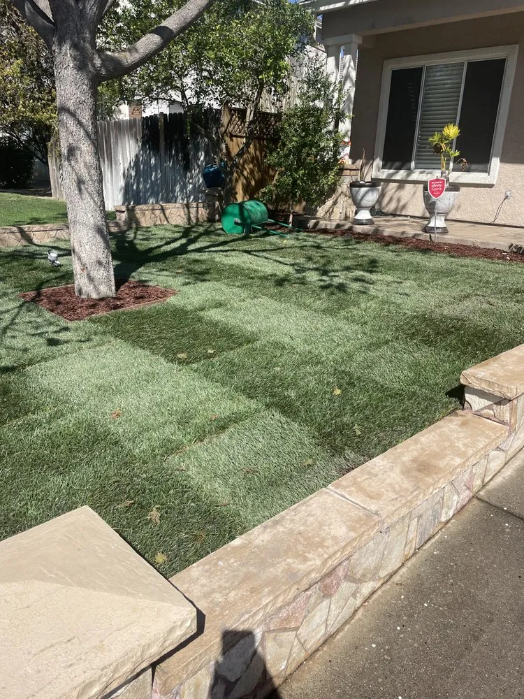 Professional lawn care service experts serving Tracy, CA - Jose V Landscape