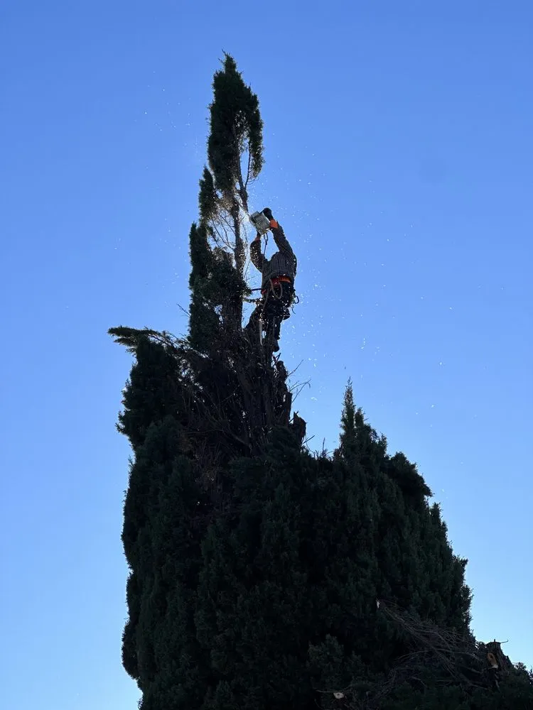 Top-rated lawn care service with custom design across Tracy, CA - Jose V Landscape