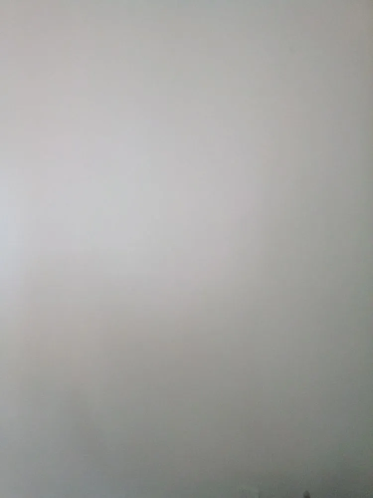 Reliable yard maintenance experts serving Annandale, VA - Jose Ventura Landscaping.