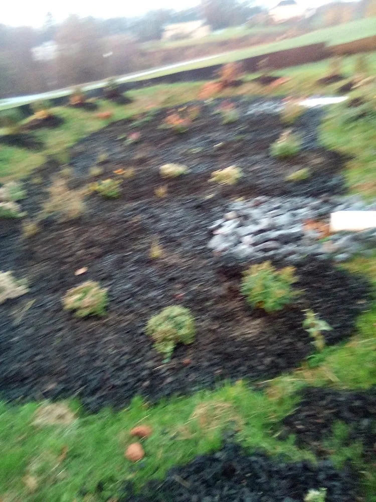 Local landscape installation experts serving Annandale, VA - Jose Ventura Landscaping.