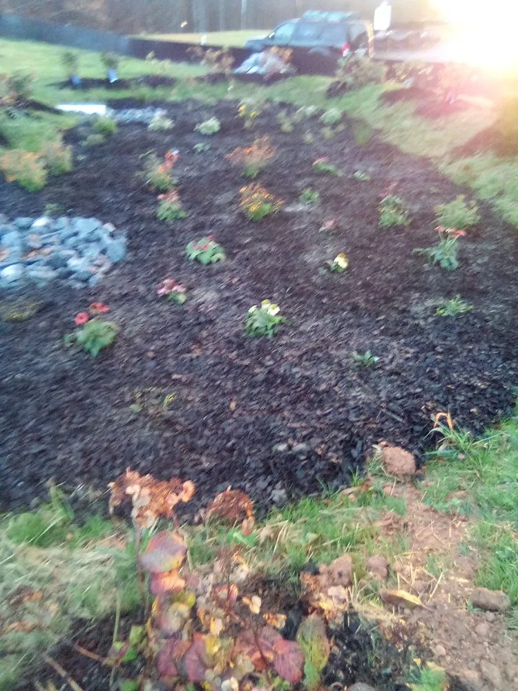 Professional landscaping services for year-round maintenance in Annandale, VA by Jose Ventura Landscaping.