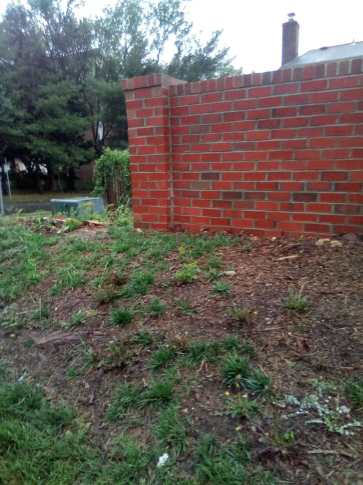 Professional outdoor landscaping in Annandale, VA by Jose Ventura Landscaping.