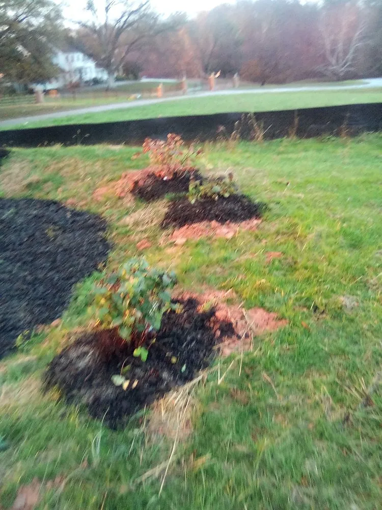 Top-rated outdoor landscaping in Annandale, VA by Jose Ventura Landscaping.