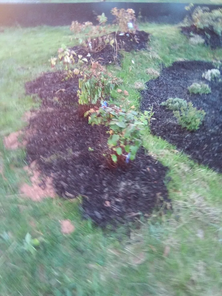 Trusted garden landscaping for outdoor upgrades in Annandale, VA by Jose Ventura Landscaping.