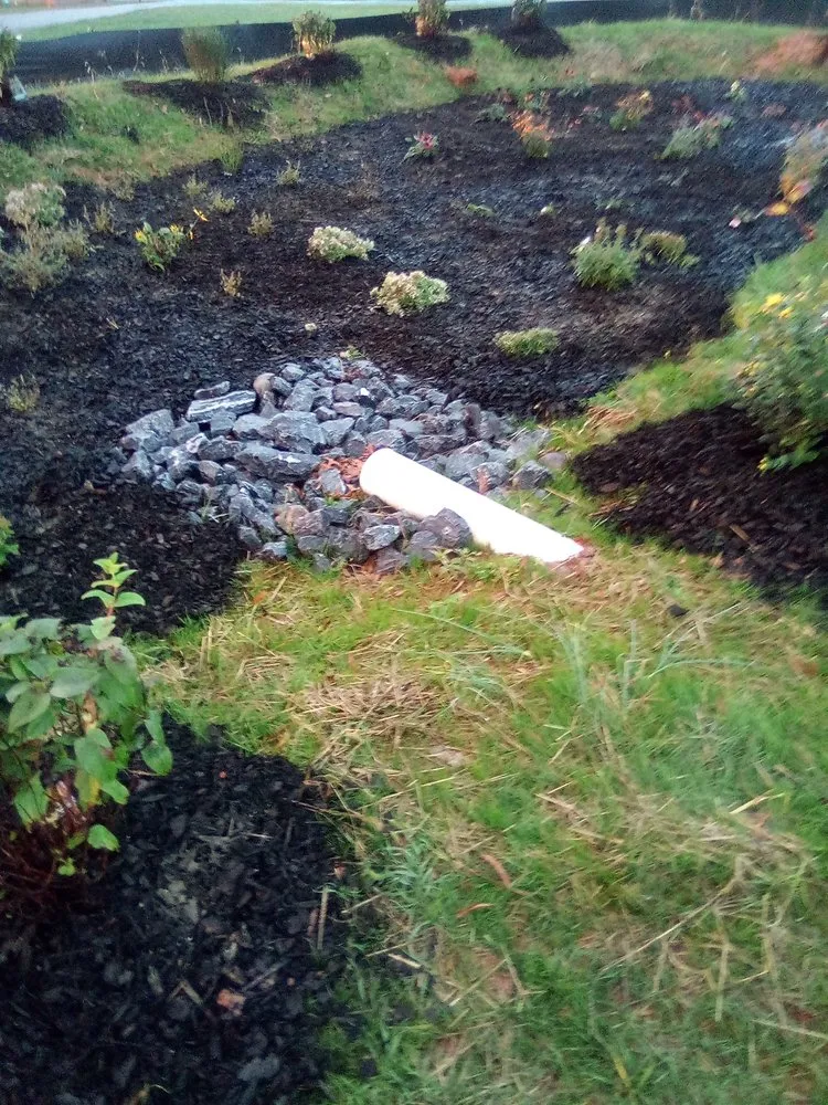 Local landscape design in Annandale, VA by Jose Ventura Landscaping.