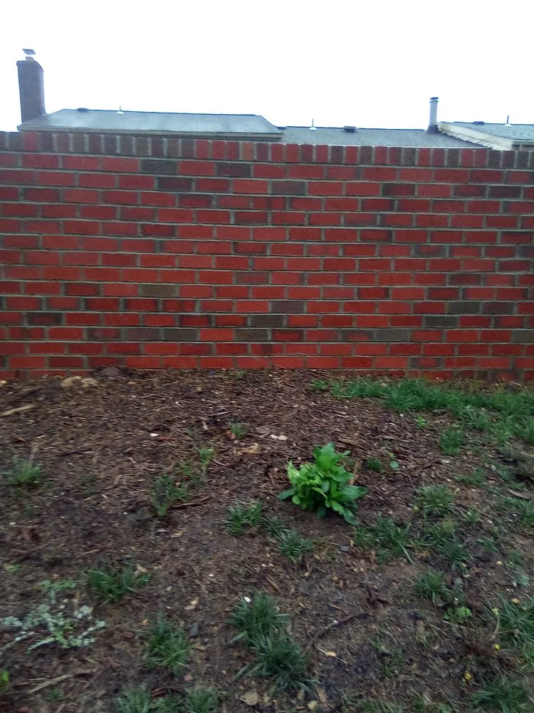 Expert landscape design in Annandale, VA by Jose Ventura Landscaping.