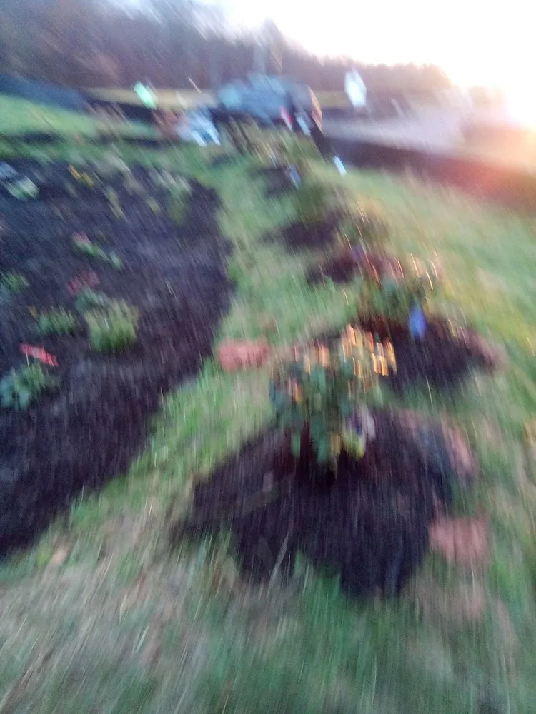 Professional lawn mowing service experts serving Annandale, VA - Jose Ventura Landscaping.