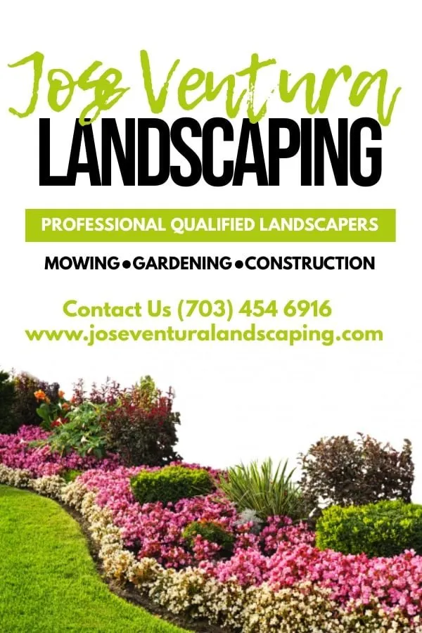Trusted yard maintenance near you in Annandale, VA by Jose Ventura Landscaping.