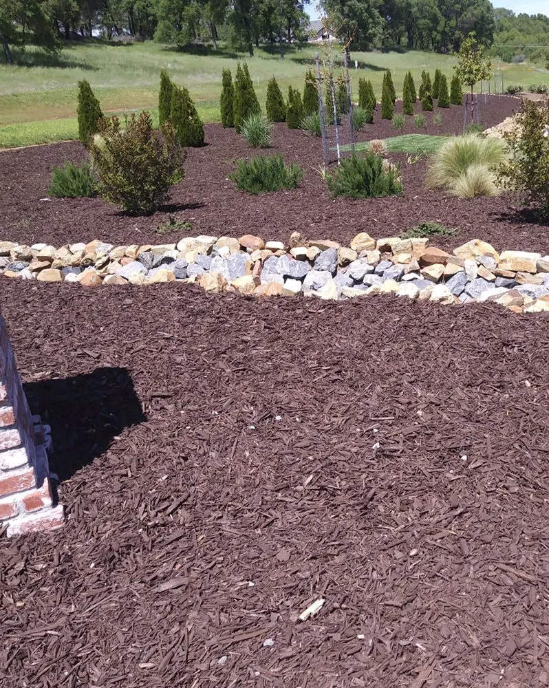 Professional lawn mowing service experts serving Auburn, CA - Jose Yard Maintenance