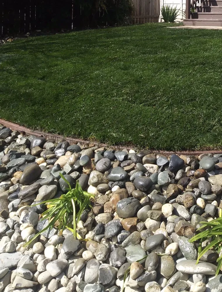 Affordable landscaping services in Auburn, CA - Jose Yard Maintenance