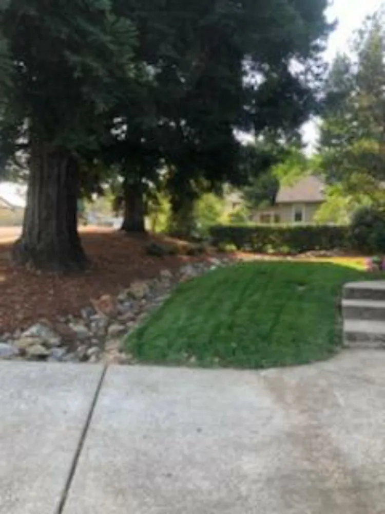 Custom garden landscaping in Auburn, CA by Jose Yard Maintenance