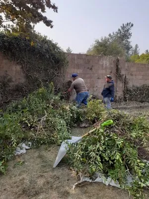 Jose Yard Maintenance