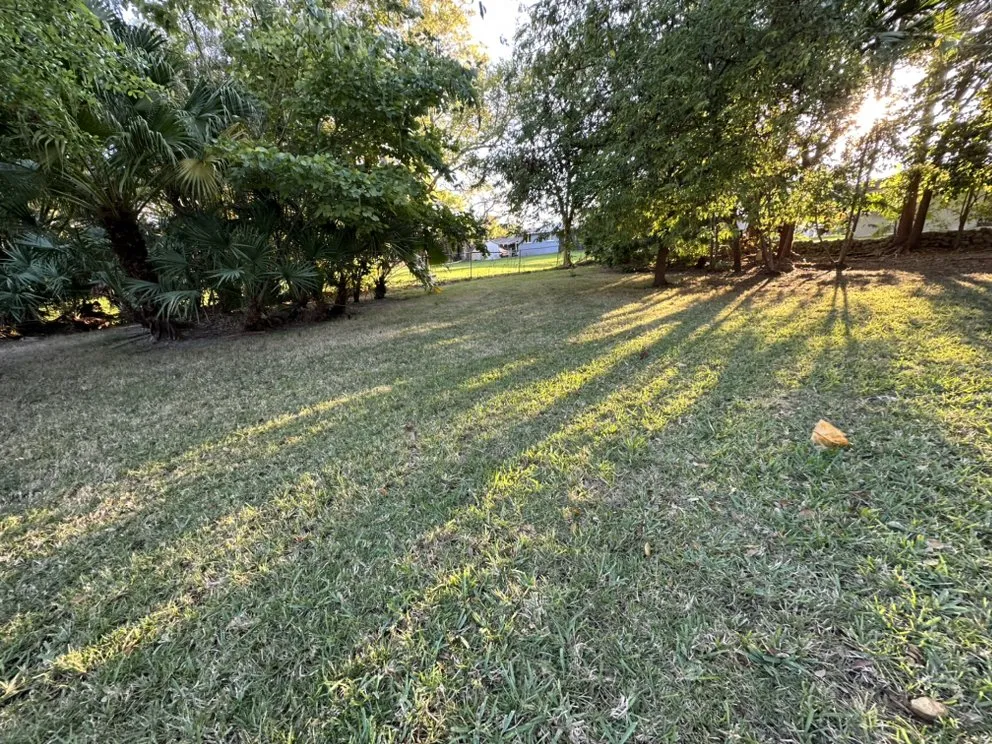 Top-rated landscaping services near you in Miami, FL by Josean Landscaping