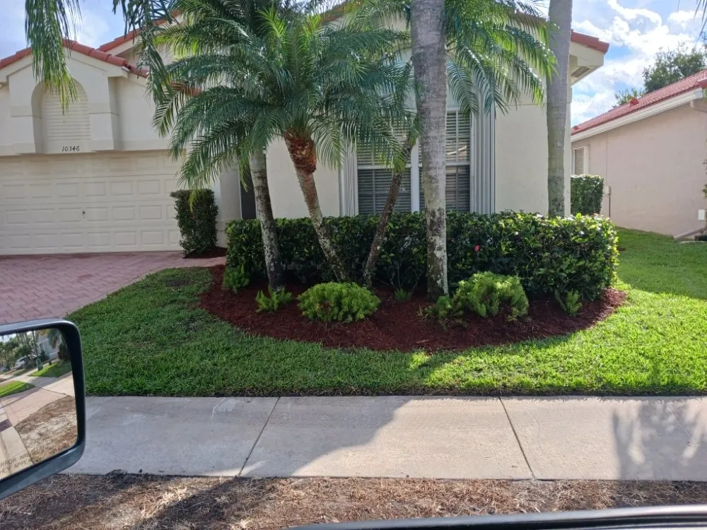 Professional yard cleanup service near you across Haverhill, FL - Josef's Landscape