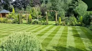 Trusted yard cleanup service in Fairfax, VA - Joselara Landscaping