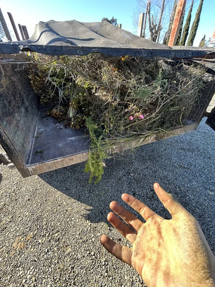 Affordable landscape installation in Olivehurst, CA by Joseluis’s Landscaping business