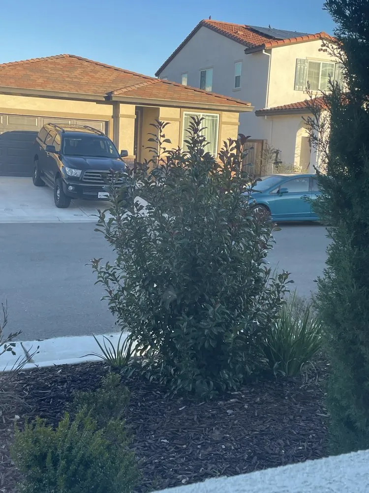 Reliable yard cleanup service in Olivehurst, CA - Joseluis’s Landscaping business