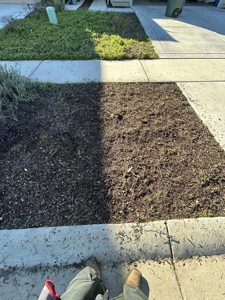 Reliable yard cleanup service for outdoor upgrades across Olivehurst, CA - Joseluis’s Landscaping business