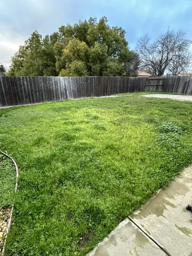 Trusted garden landscaping in Olivehurst, CA by Joseluis’s Landscaping business