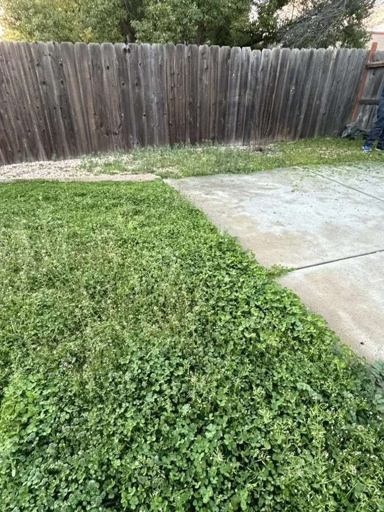 Trusted landscape design experts serving Olivehurst, CA - Joseluis’s Landscaping business