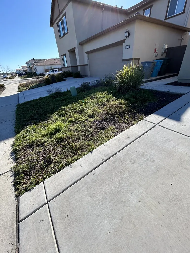 Expert lawn care service in Olivehurst, CA - Joseluis’s Landscaping business