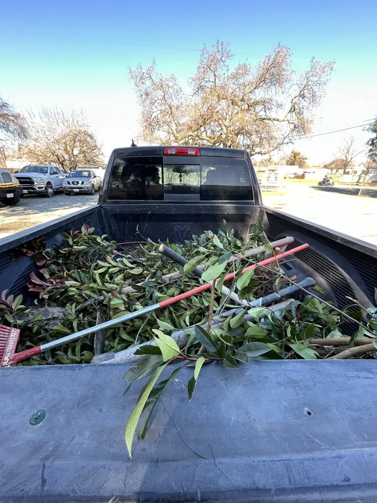 Expert landscape design in Olivehurst, CA - Joseluis’s Landscaping business