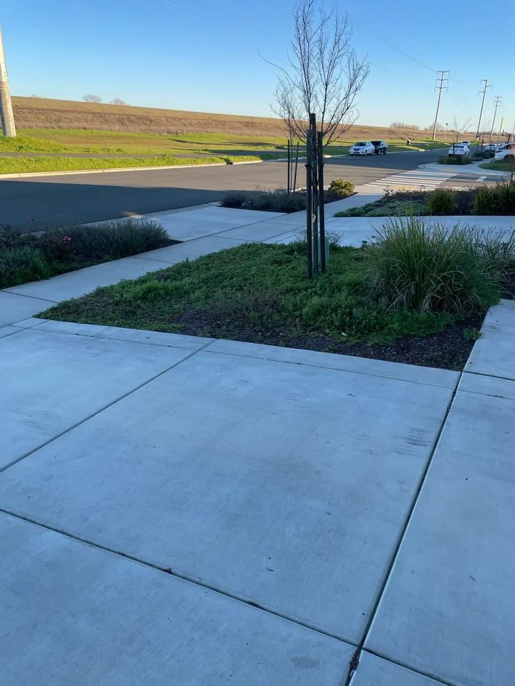 Expert residential landscaping in Olivehurst, CA by Joseluis’s Landscaping business