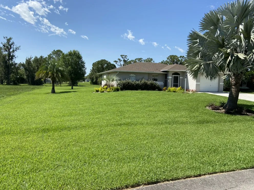 Top-rated yard cleanup service experts serving Sebring, FL - Joseph Adams Lawncare