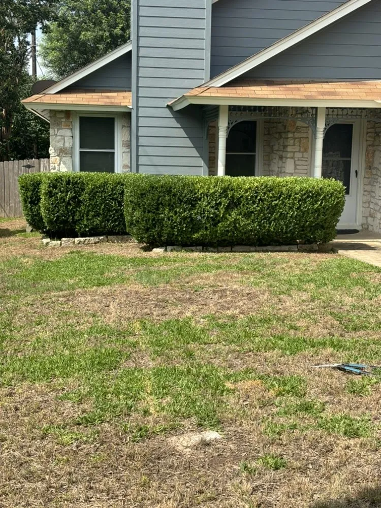 Trusted landscape installation in Austin, TX - Joseph And Sons Construction