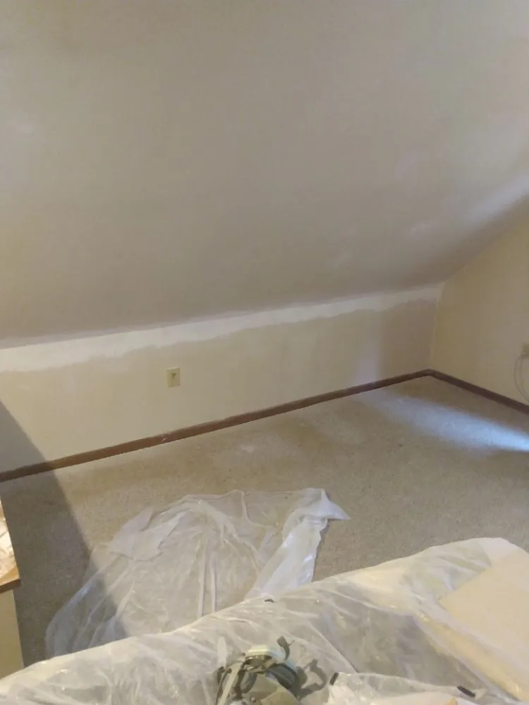 Top-rated yard cleanup service for homes in Kalkaska, MI by Joseph Andrew Can Do