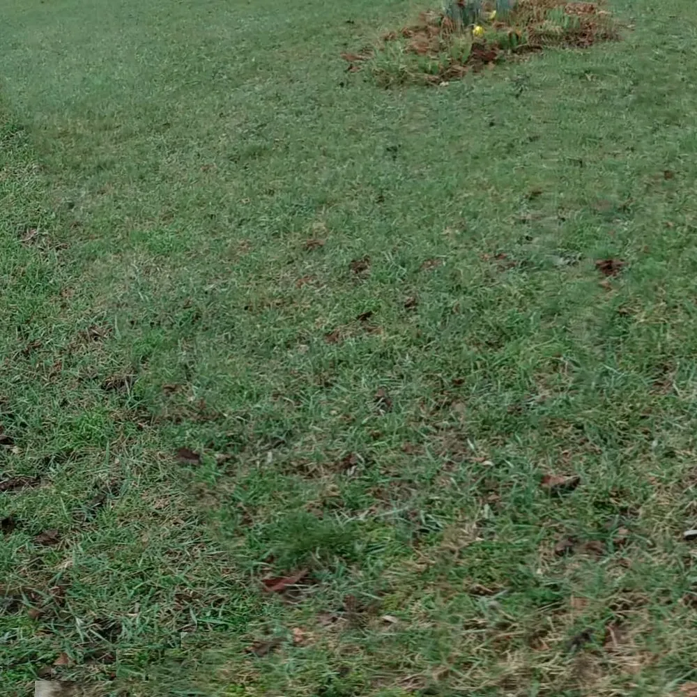 Custom landscape installation with custom design in Kalkaska, MI by Joseph Andrew Can Do