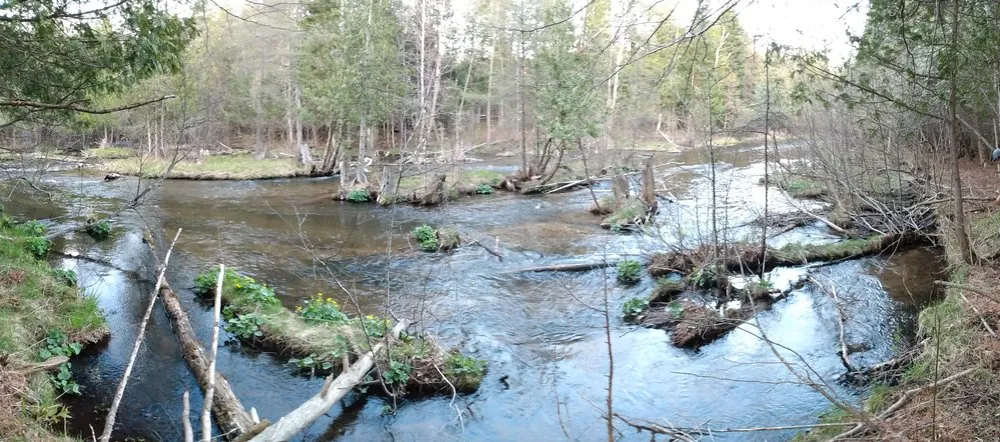 Trusted residential landscaping in Kalkaska, MI by Joseph Andrew Can Do