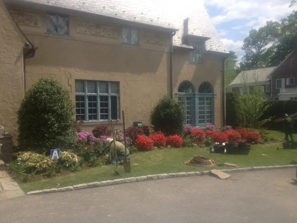 Local yard cleanup service experts serving New Rochelle, NY - Joseph Bulfamante & Son