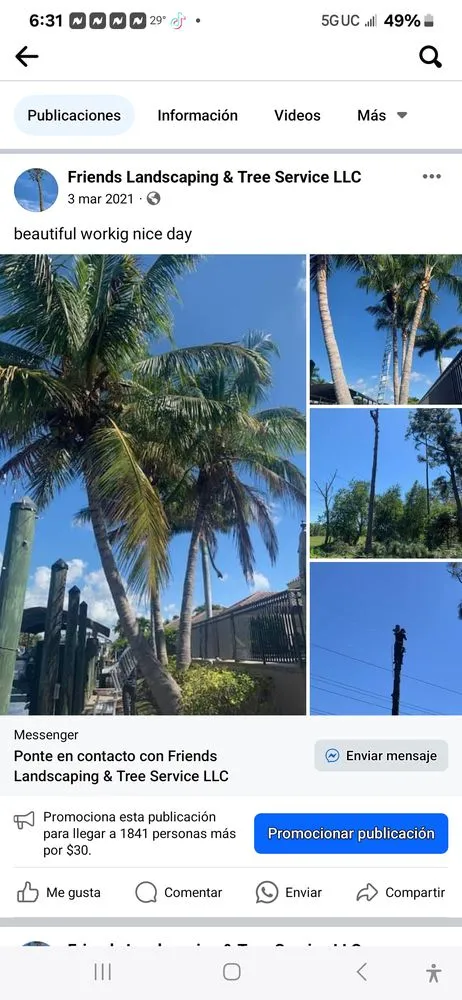 Reliable landscape installation in Fort Myers, FL by Joseph