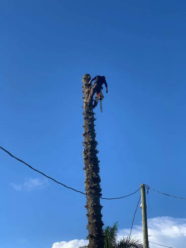 Professional garden landscaping experts serving Fort Myers, FL - Joseph