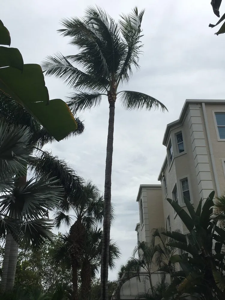 Expert lawn care service experts serving Fort Myers, FL - Joseph