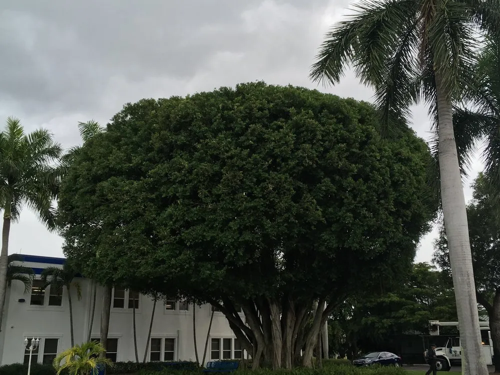 Trusted residential landscaping for outdoor upgrades in Fort Myers, FL by Joseph