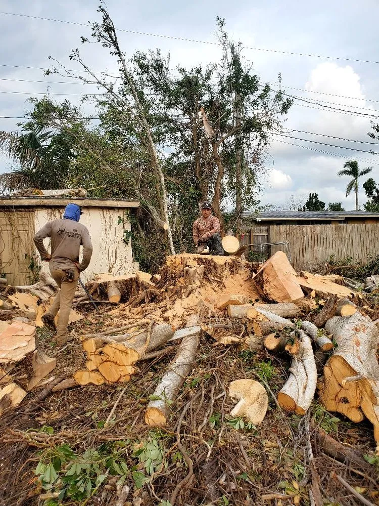 Reliable yard cleanup service for beautiful yards across Fort Myers, FL - Joseph