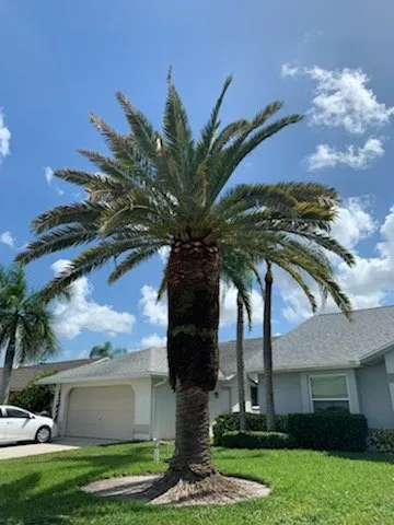 Expert landscape design for beautiful yards across Fort Myers, FL - Joseph