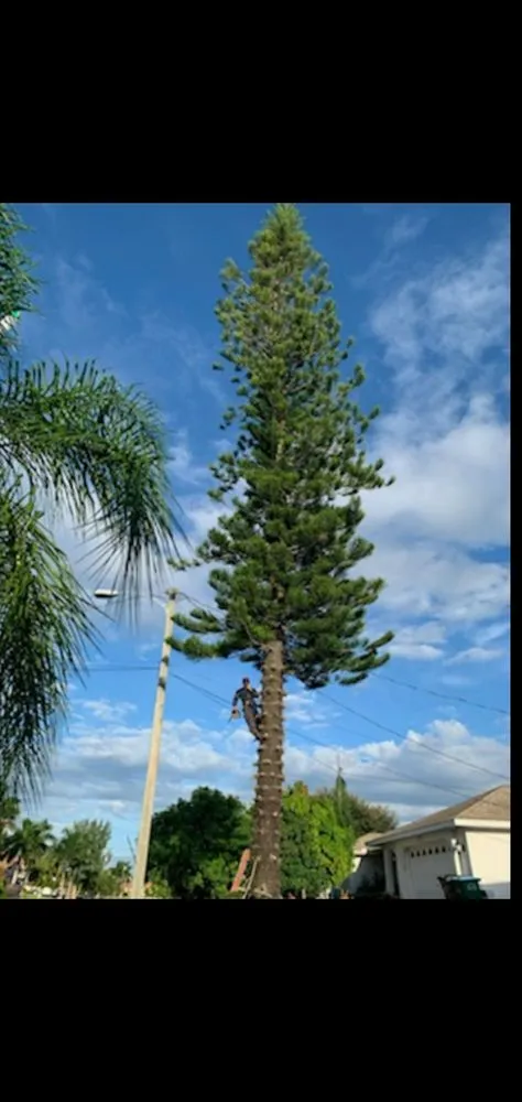 Custom landscape installation in Fort Myers, FL - Joseph