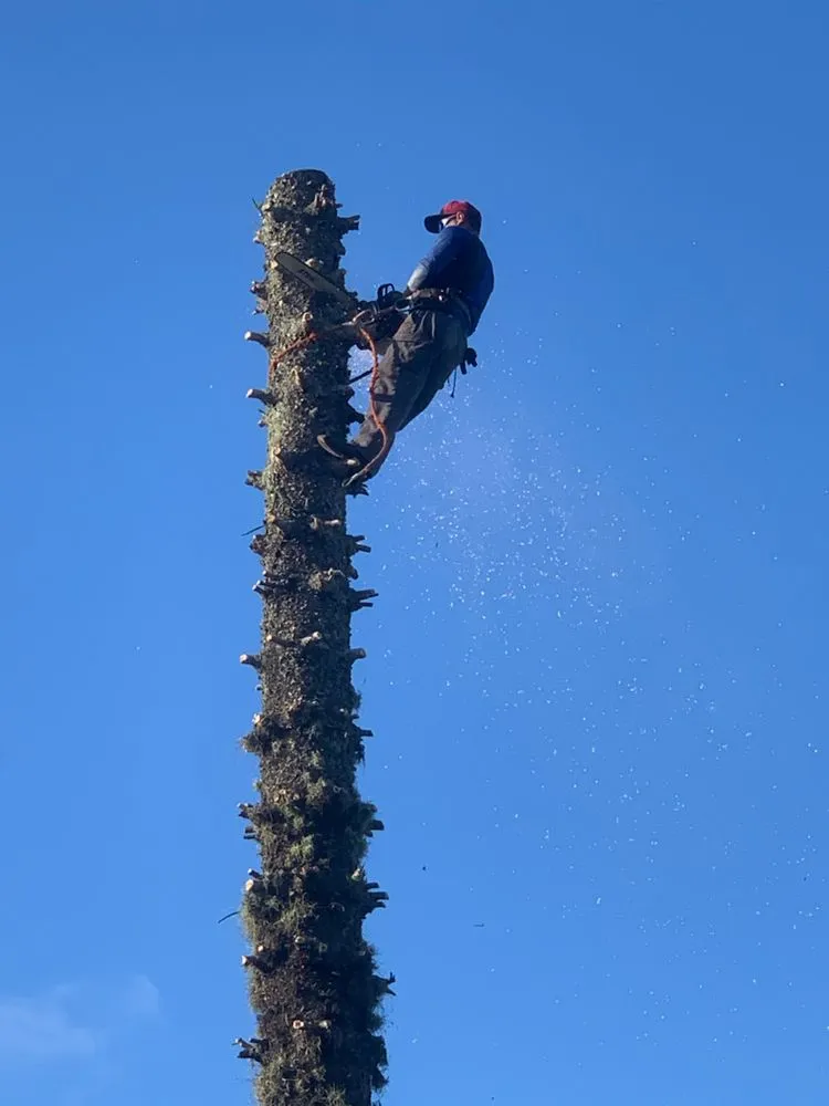 Affordable residential landscaping for beautiful yards across Fort Myers, FL - Joseph