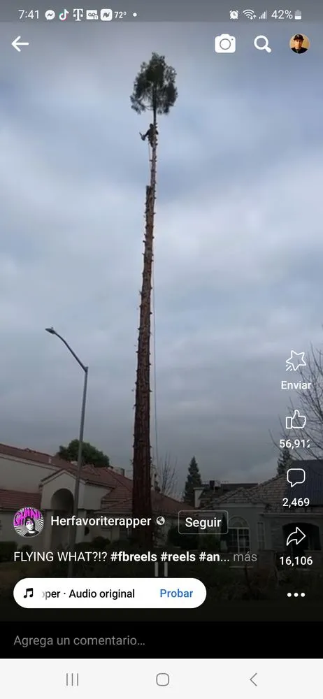 Professional yard maintenance near you across Fort Myers, FL - Joseph