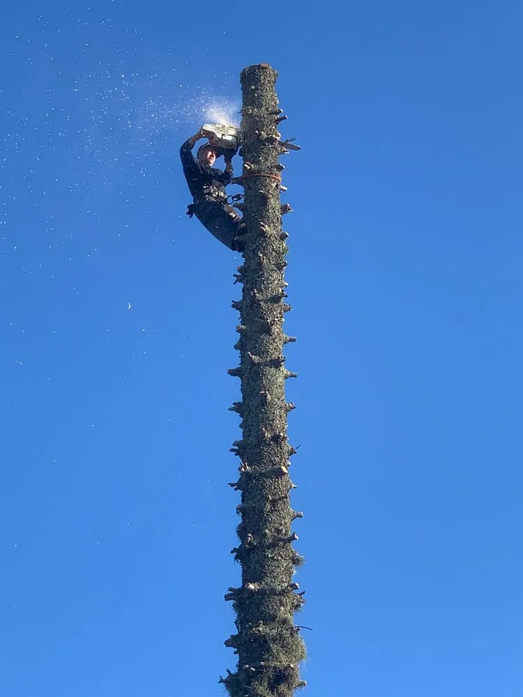 Expert outdoor landscaping with custom design across Fort Myers, FL - Joseph